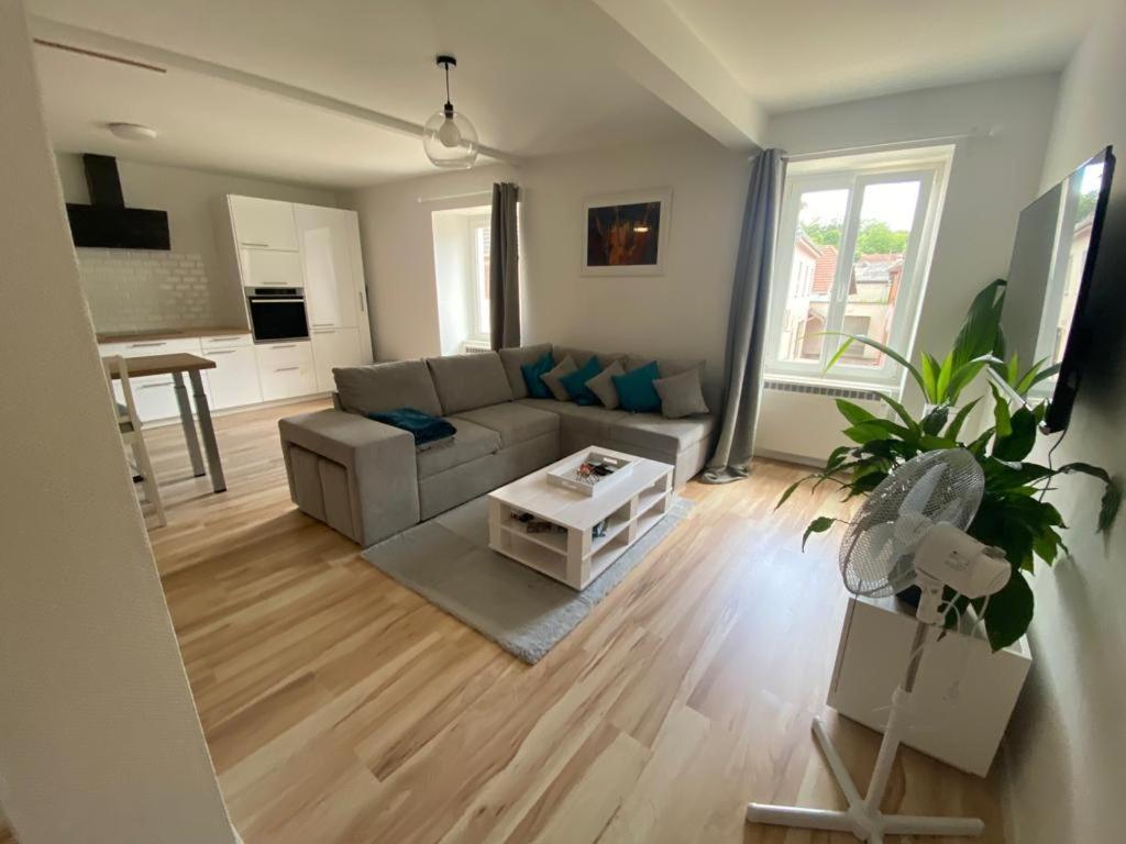 Appartement Centre Ville Rixheim Eksteriør billede